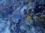 resIMG_20180715_144554_P7150873.JPG